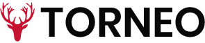 torneo logo
